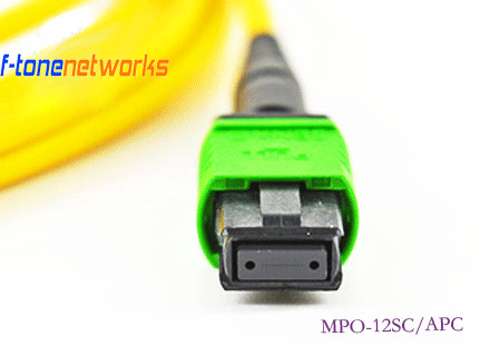 PG电子·(中国游)官方网站